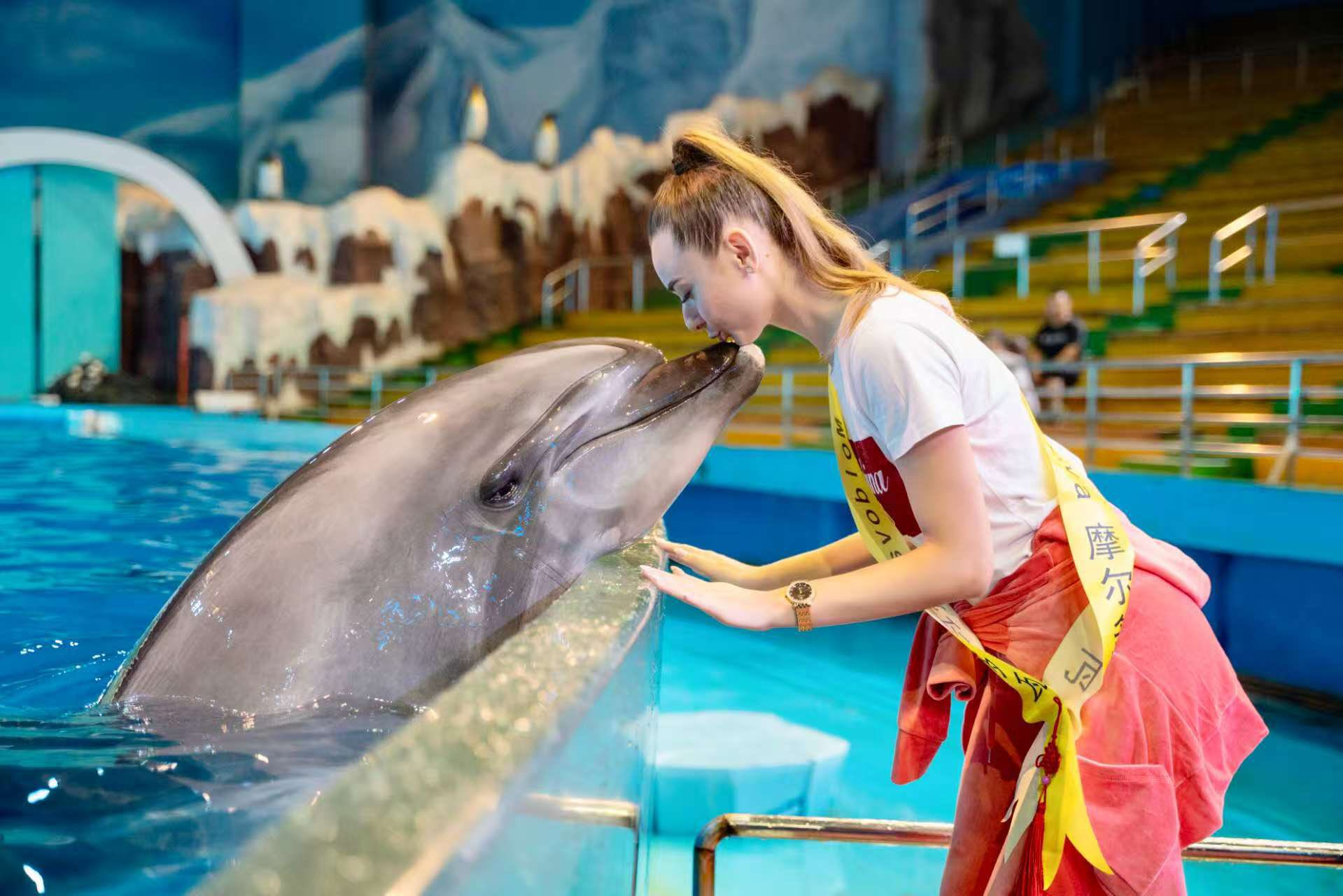 1691c8681752d4fc1782febdabe5a751